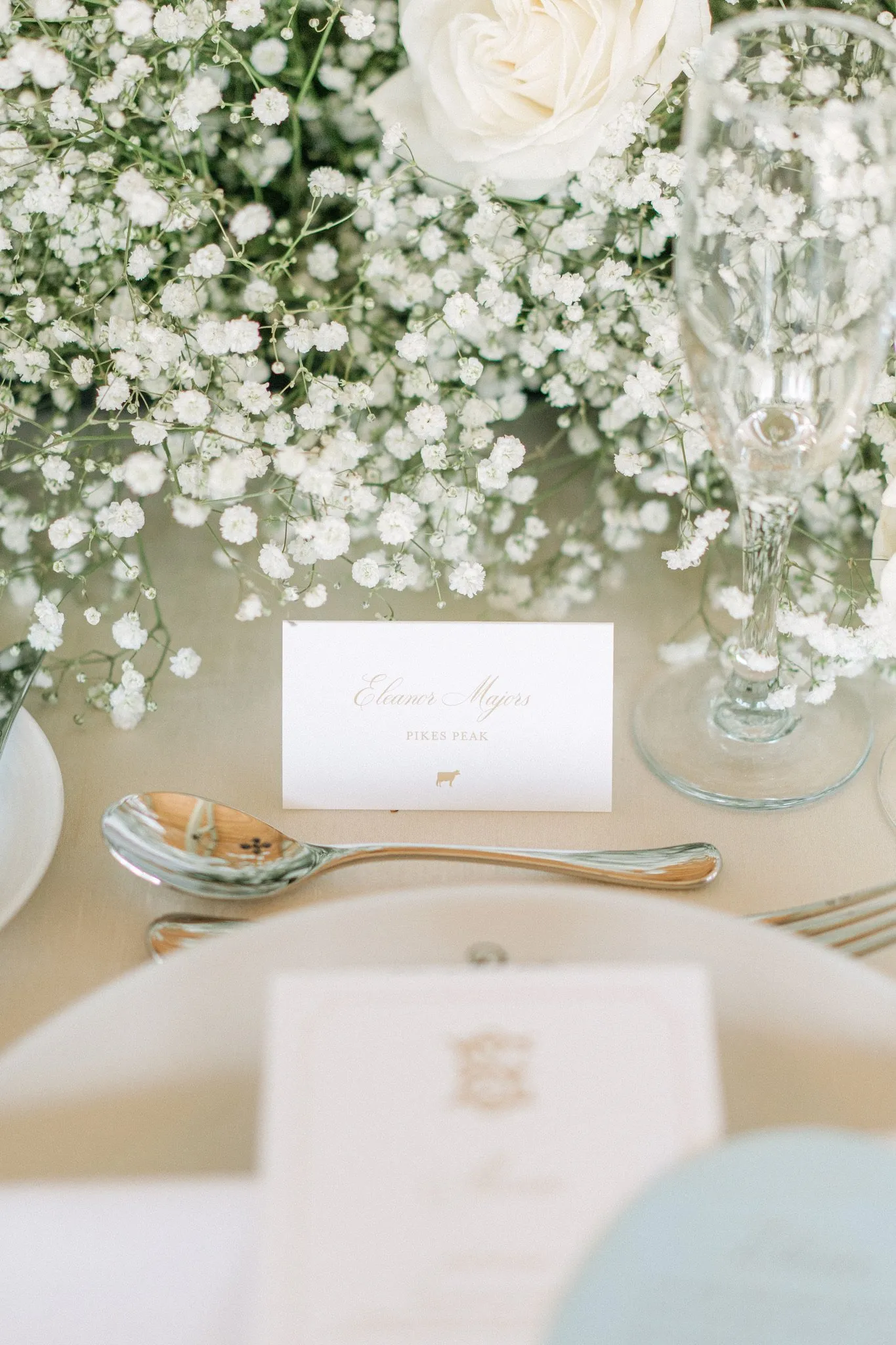 Ethereal white Broadmoor wedding flowers, image 14